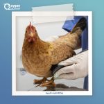 خرافات عن الصحة يجب التخلي عنها