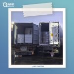 رحلة الحمل والولادة
